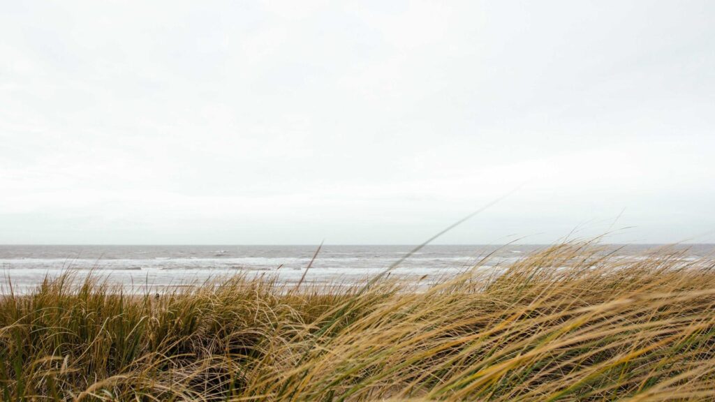 Vakuutusten kilpailuttaminen pk-yrityksille Espoossa toimistoympäristössä