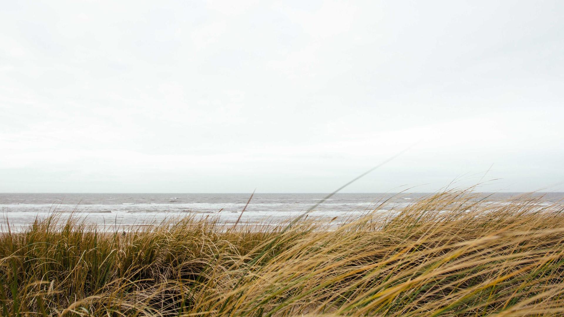 Vakuutusten kilpailuttaminen pk-yrityksille Espoossa toimistoympäristössä