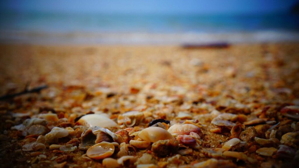 Sähkösopimusten kilpailutus Turussa: Yrityksille merkittäviä säästöjä