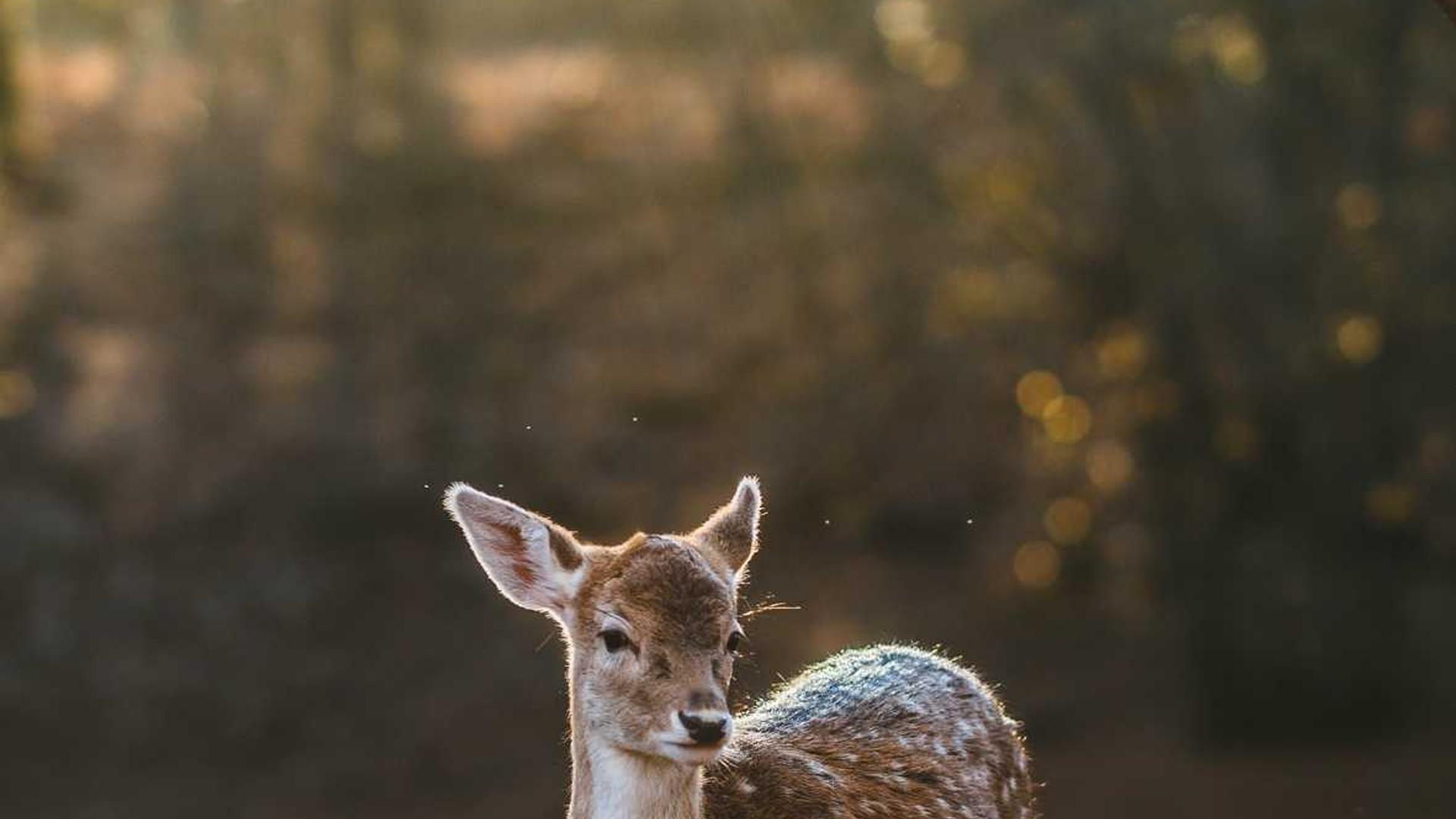 Sähkösopimukset: Miten valita oikea sopimus yrityksellesi?
