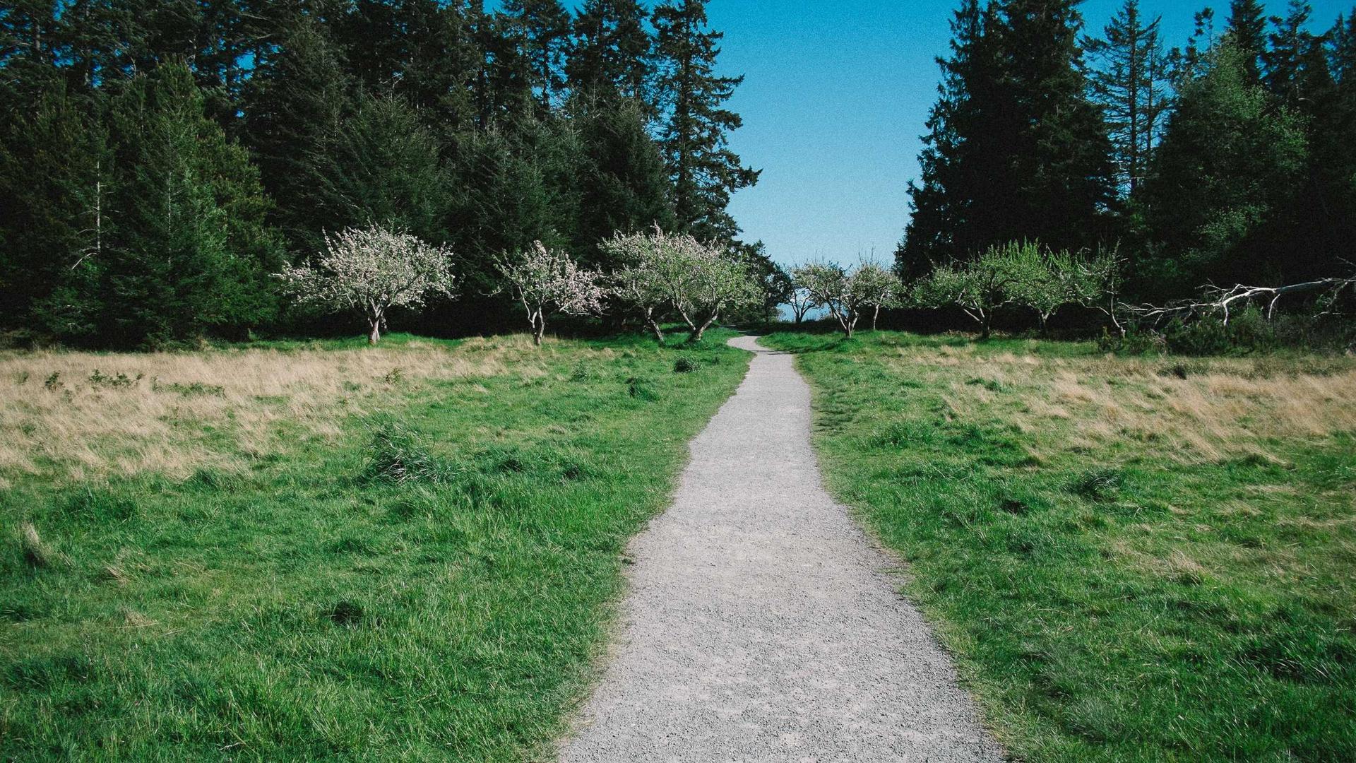 Säästöjä puhelinliittymien kilpailutuksella Tampereen pk-yrityksille