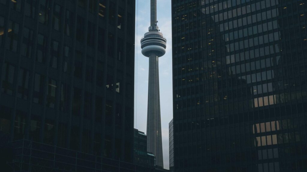 Kilpailutuksen ABC: Mitä pk-yrityksen tulee tietää?