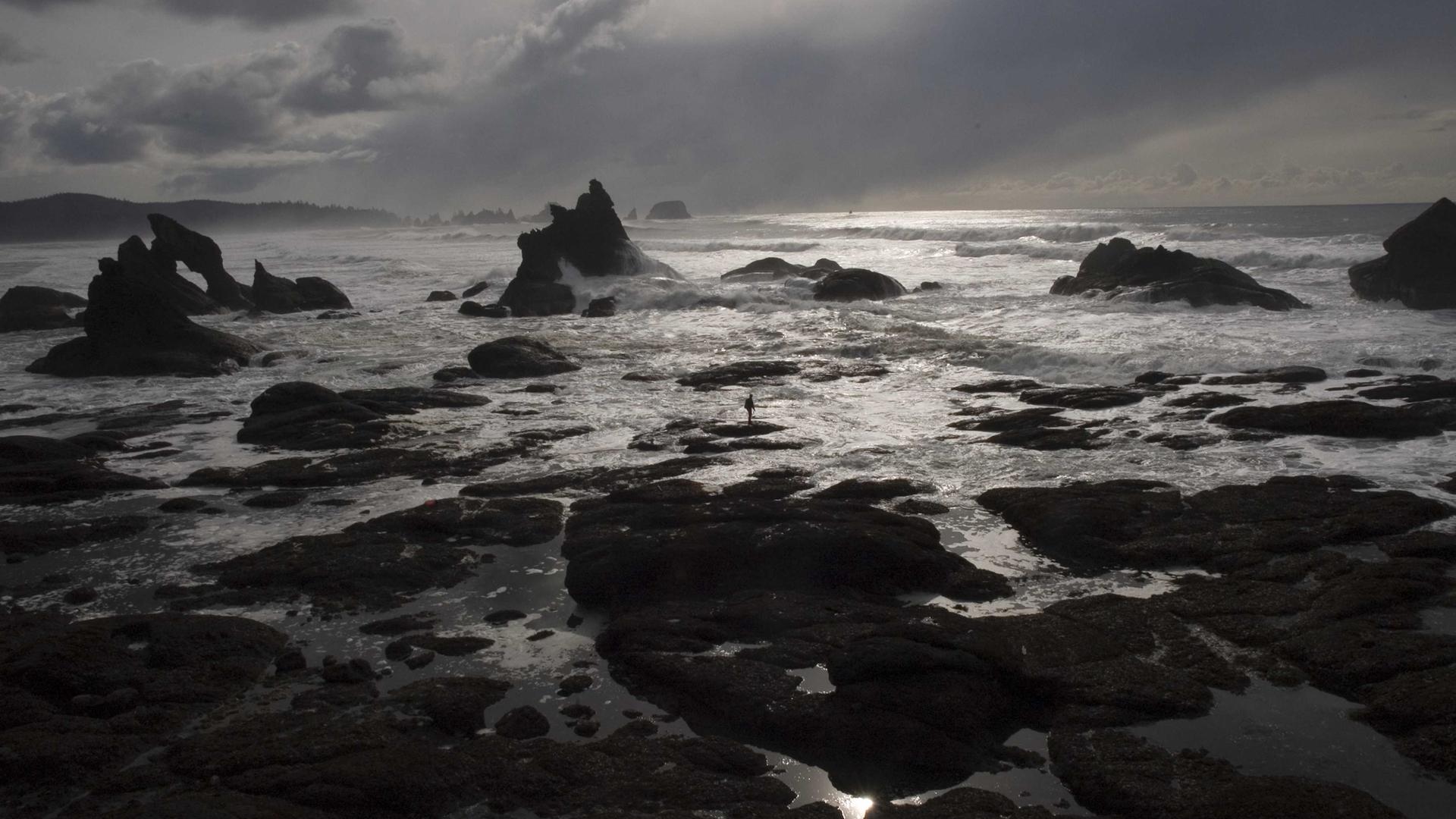 Kilpailutus ja digitalisaatio: Miten teknologia voi auttaa?