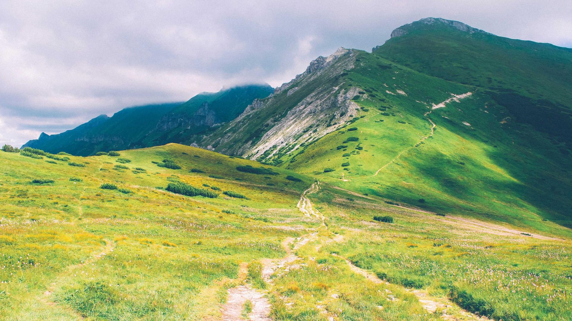 Tampereen sähkömarkkinat: Kilpailuttamisen hyödyt pk-yrityksille