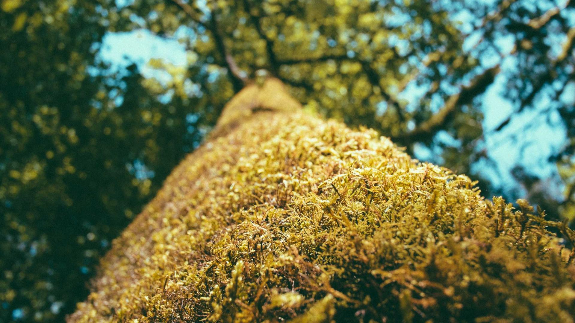 Vantaan pk-yritysten liittymäsopimusten kilpailuttaminen
