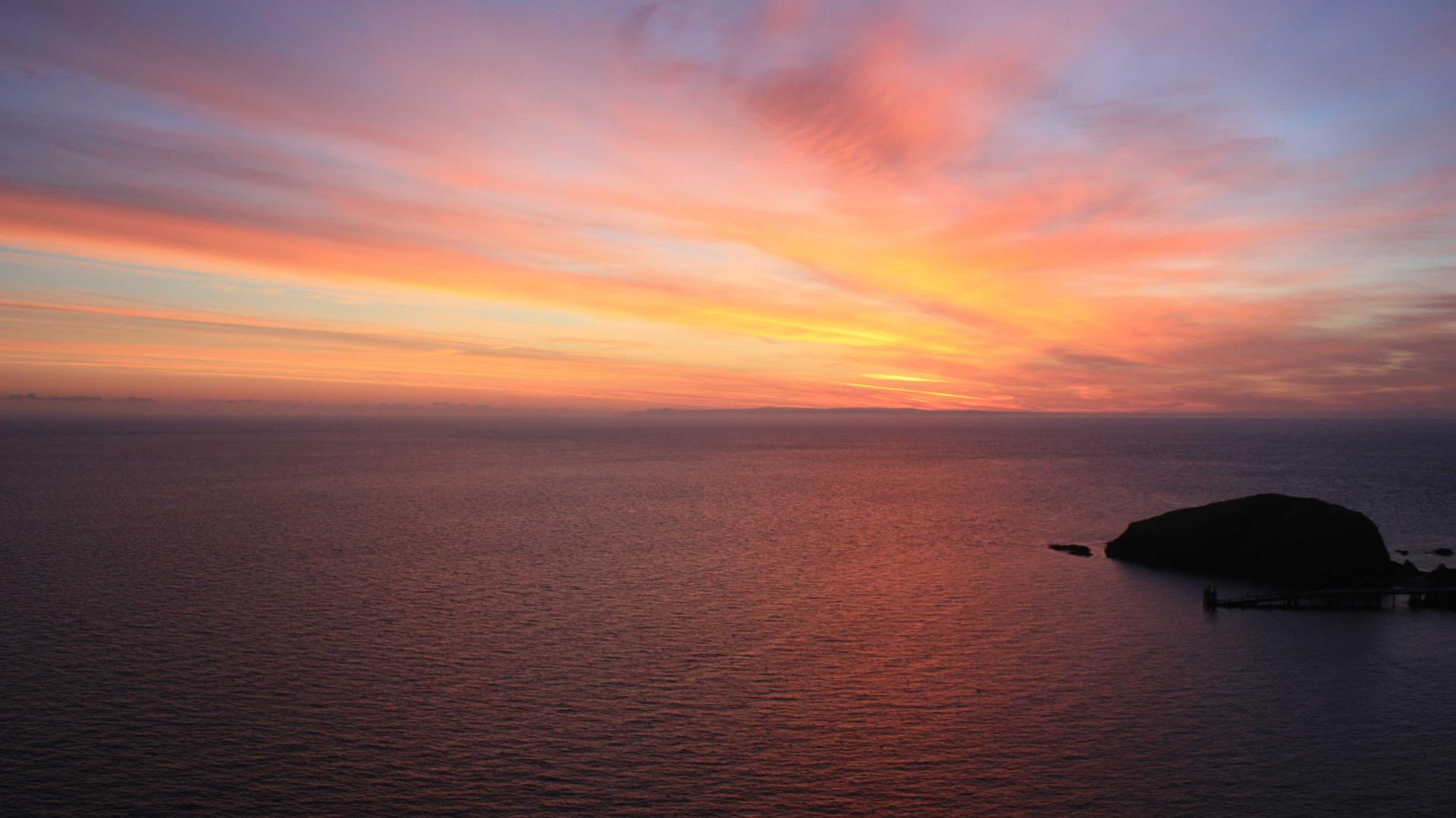 Kilpailutuksen tuomat säästöt: Case-esimerkkejä pk-yrityksiltä