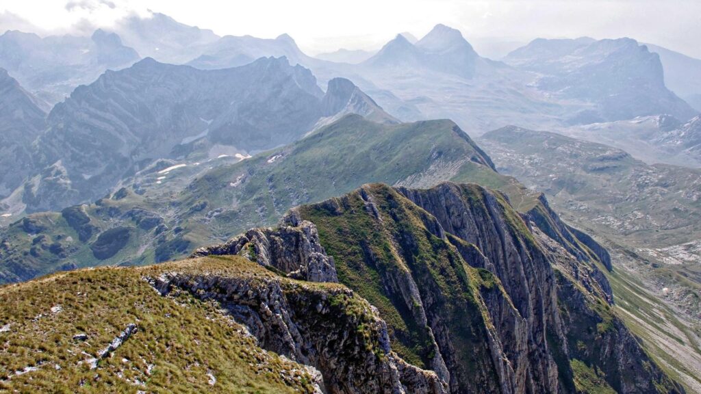 Kilpailutuspalvelut pk-yrityksille Vantaalla: Savers Group Oy:n ratkaisut