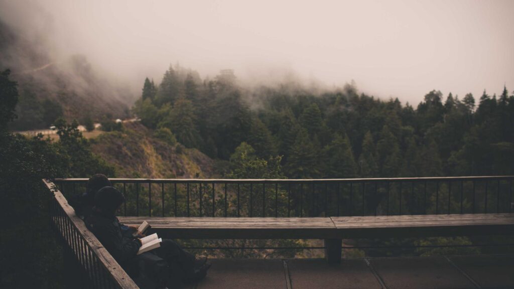 Vakuutusten kilpailuttaminen: Mitä pk-yritysten tulee huomioida?