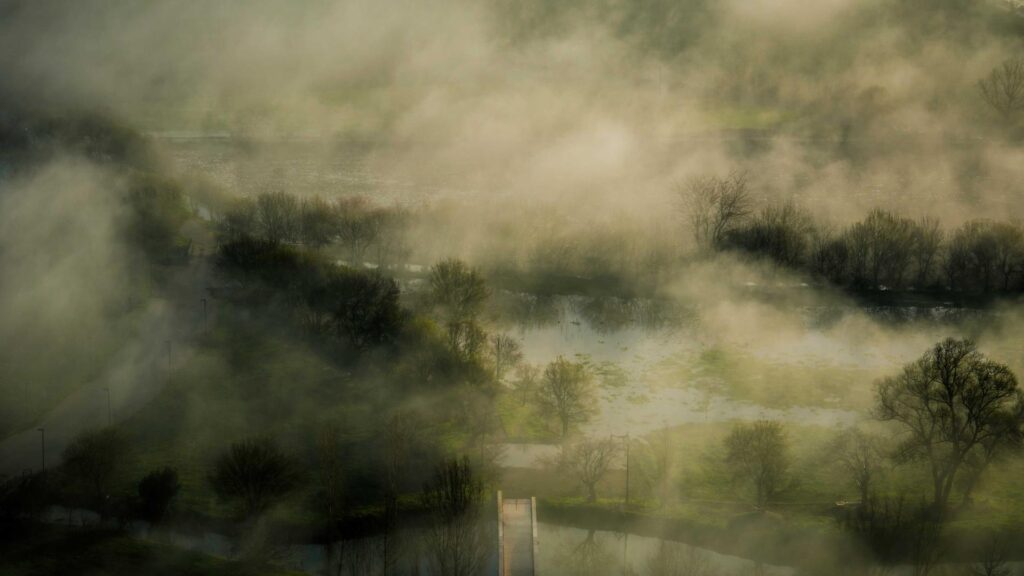 Kilpailutuspk-yritysten kannattavuuden parantajana