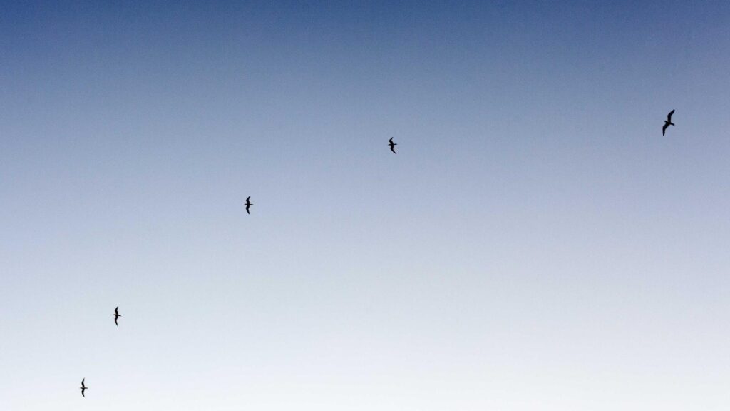 Puhelinliittymien kilpailutus: Yleisimmät virheet ja miten ne voi välttää