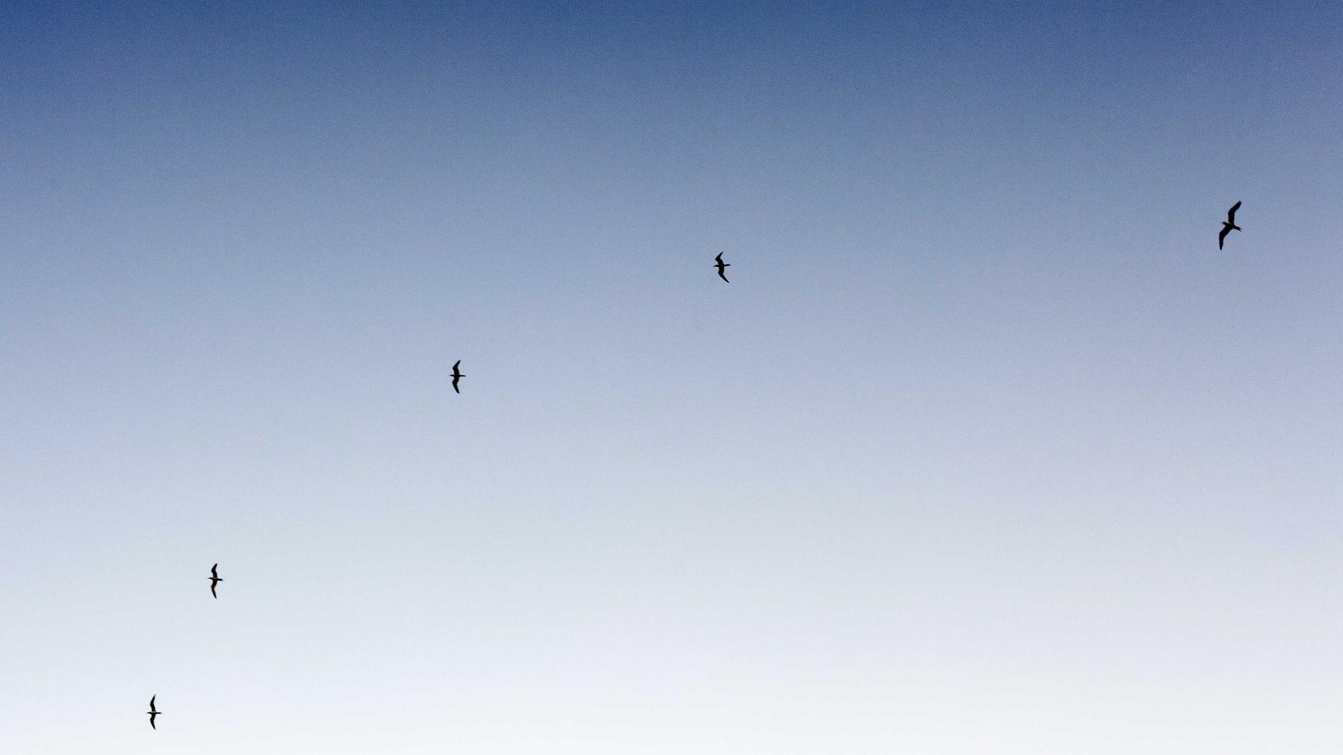 Puhelinliittymien kilpailutus: Yleisimmät virheet ja miten ne voi välttää